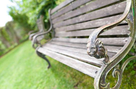 Garden & swimming pool Garden & swimming pool