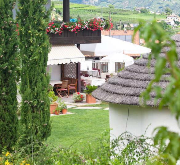 Garden & swimming pool Garden & swimming pool